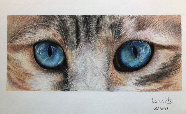 Zeichnung „Blaue Katzenaugen“