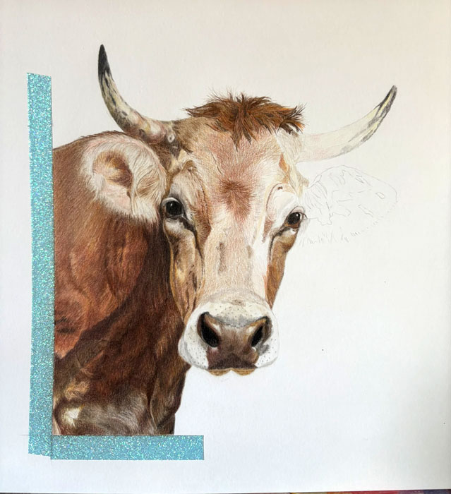 Zeichnung „Kuh“ (In Arbeit)